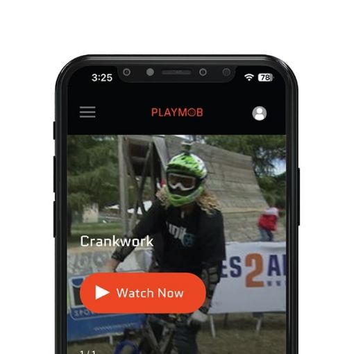 Obraz Playmob